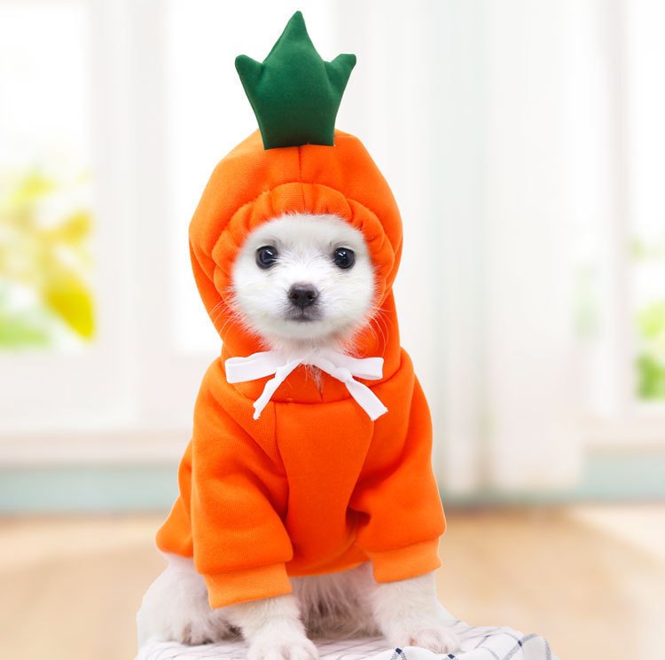 Furryhabit™ Fruit Fleece Hoodie for Small Dogs & Cats - Image 10