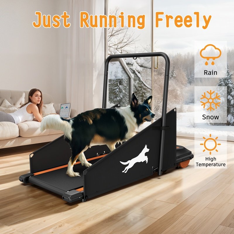 FurryHabit Dog Treadmill – Indoor Exercise & Fitness Treadmill for Small & Medium Dogs - Image 6