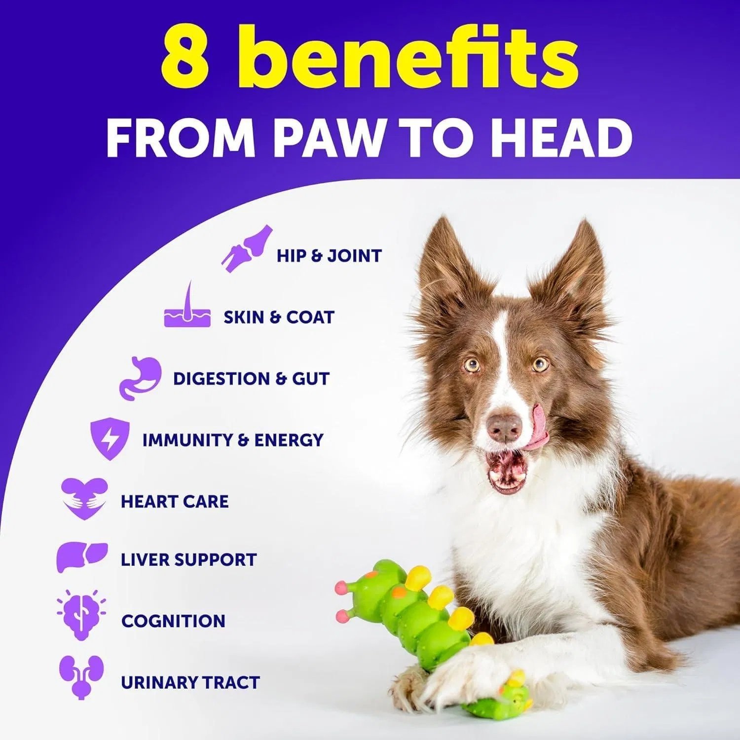 FurryHabit™ 20-in-1 Dog Multivitamin Chews – Glucosamine Joint Support, Immunity, Gut & Skin Health (120 Count) - Image 2