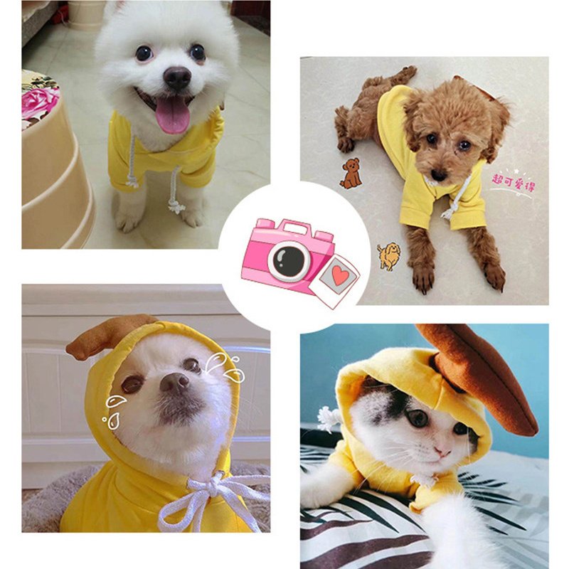 Furryhabit™ Fruit Fleece Hoodie for Small Dogs & Cats - Image 6